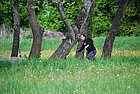 DSC_1097.JPG