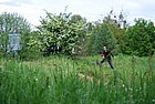 DSC_1114.JPG