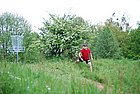 DSC_1117.JPG