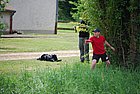 DSC_1131.JPG