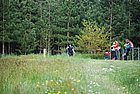 DSC_1175.JPG